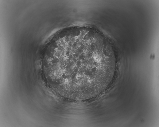 X0000110871206200907161430