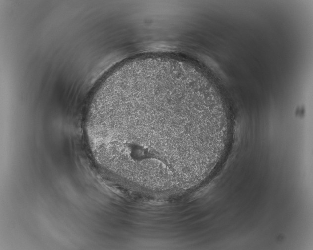 X0000110871209200907161430