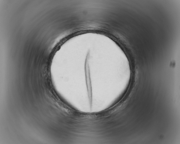 X0000110871210200907161430