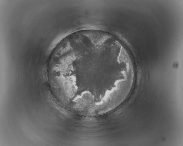 X0000110871215200907161430