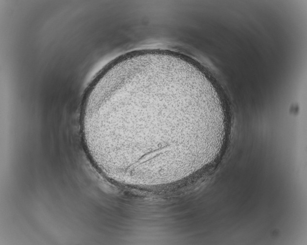 X0000110871216200907161430