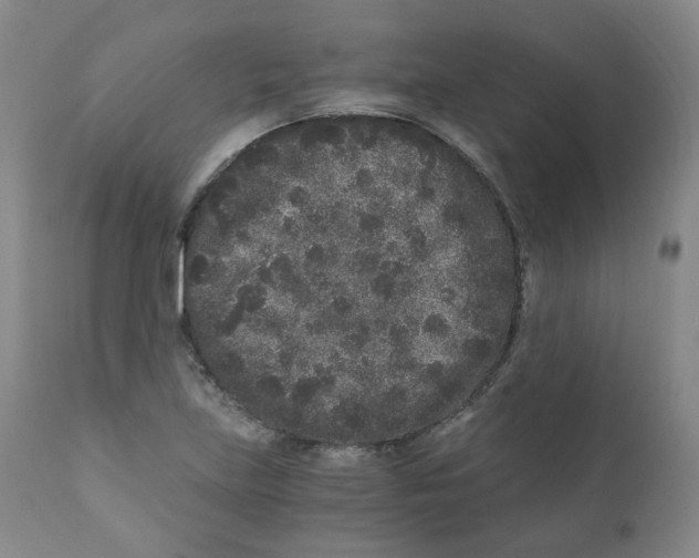 X0000110871219200907161430