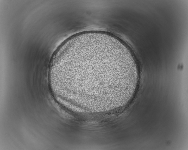 X0000110871220200907161430