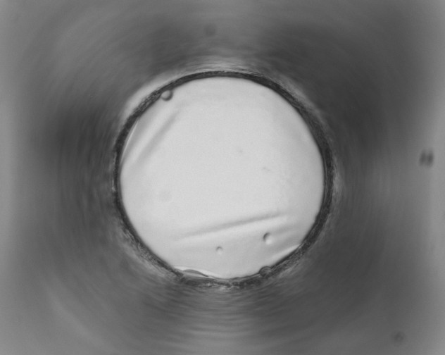 X0000110871222200907161430