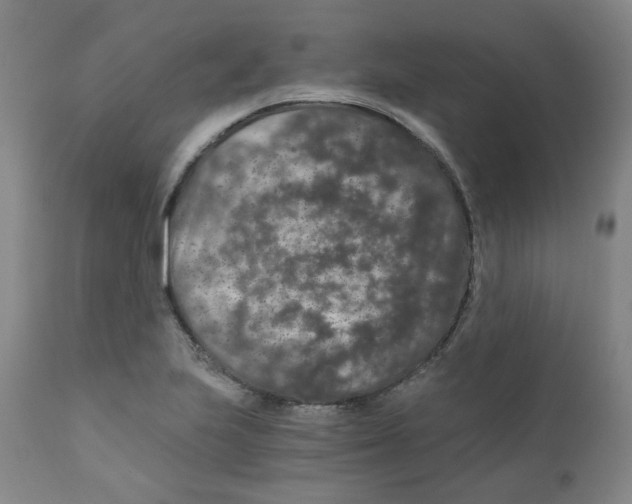 X0000110871223200907161430