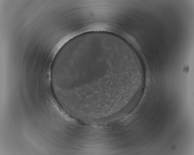 X0000110871226200907161431