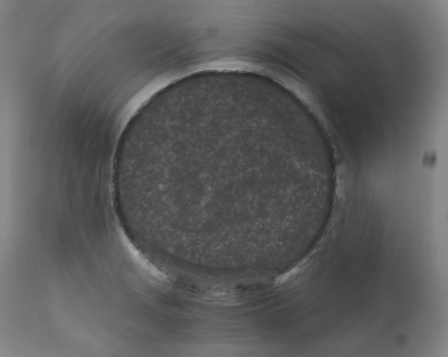 X0000110871229200907161431