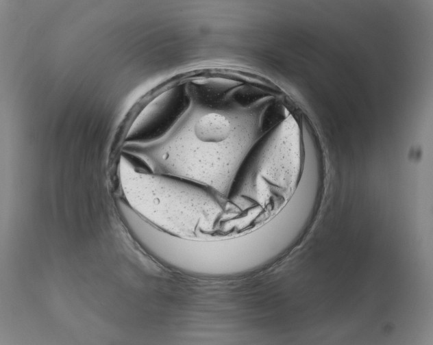 X0000110871230200907161431