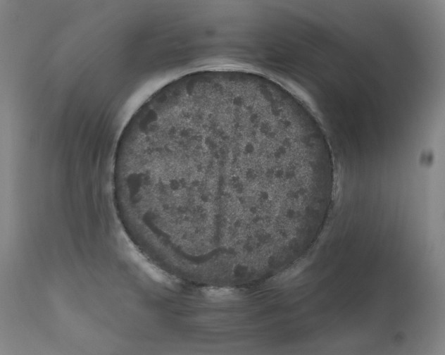 X0000110871231200907161431