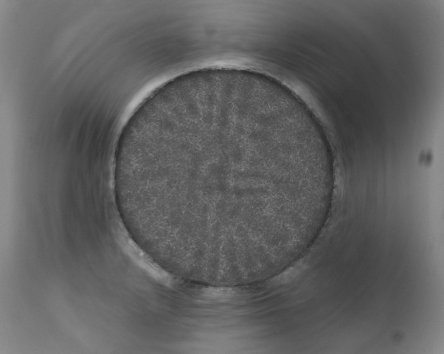 X0000110871232200907161431