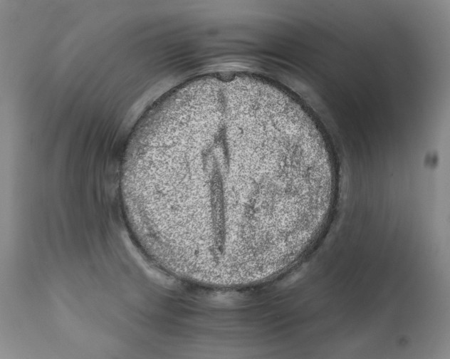 X0000110871233200907161431