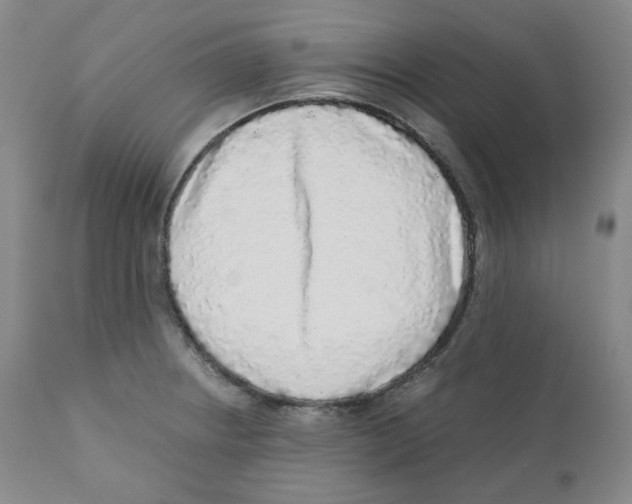 X0000110871234200907161431