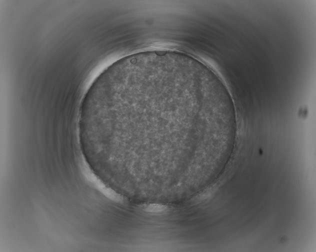 X0000110871235200907161431