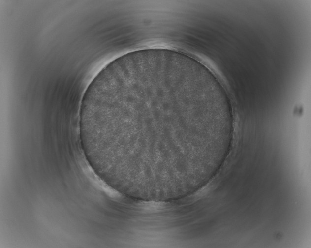 X0000110871236200907161431