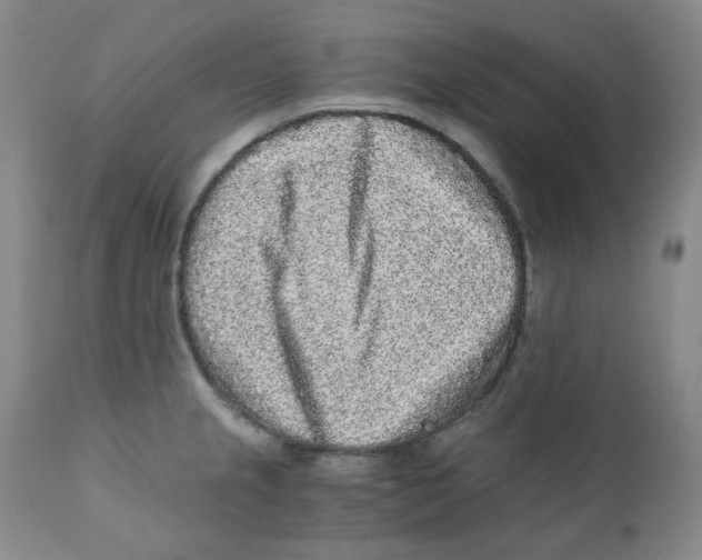 X0000110871237200907161431