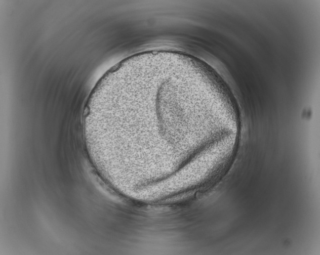 X0000110871242200907161431