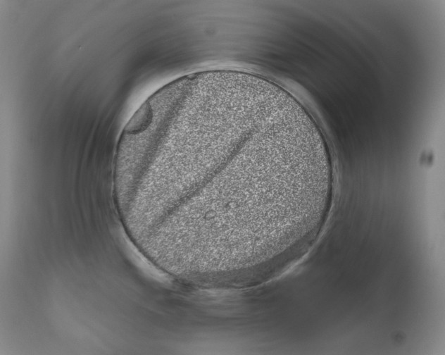 X0000110871244200907161431