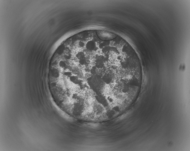 X0000110871245200907161431