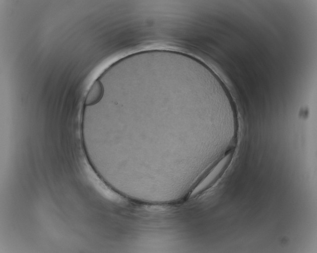 X0000110871246200907161431