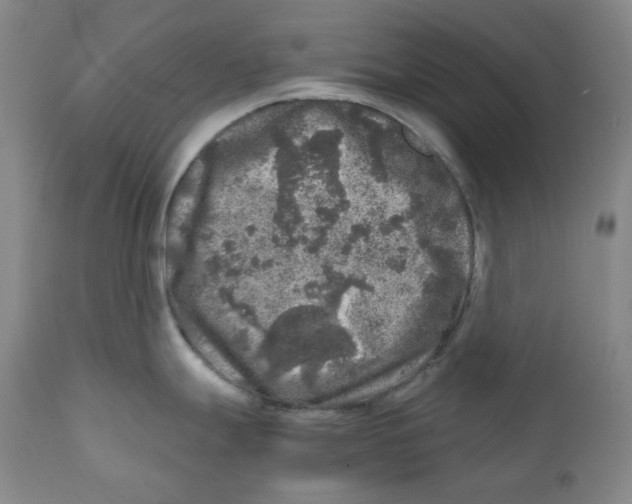 X0000110871247200907161431