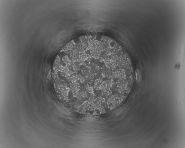 X0000110871251200907161430