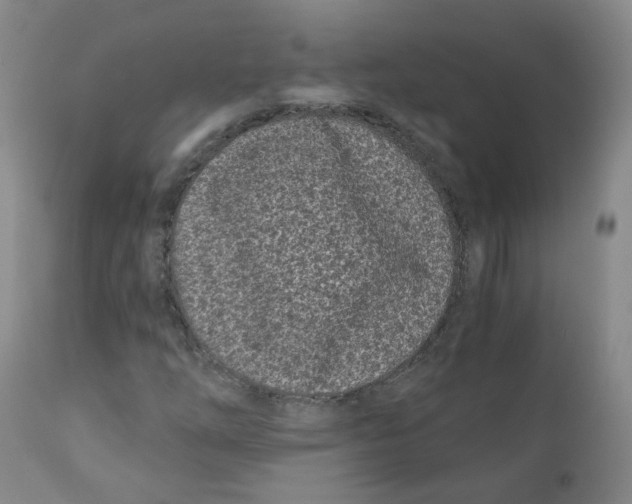 X0000110871254200907161430