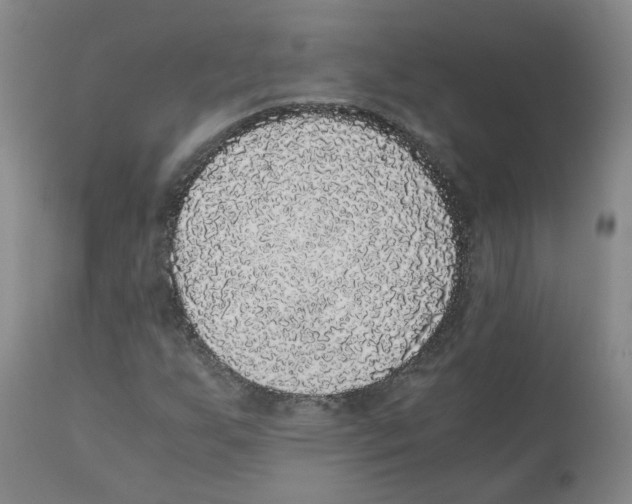 X0000110871255200907161430