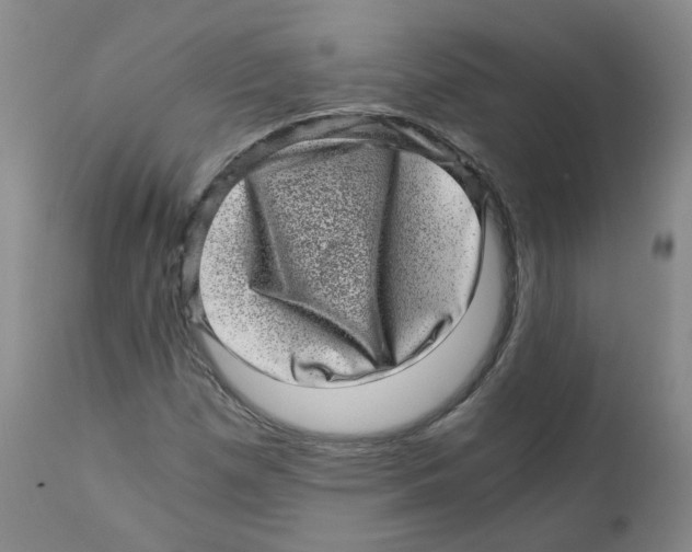 X0000110871257200907161430