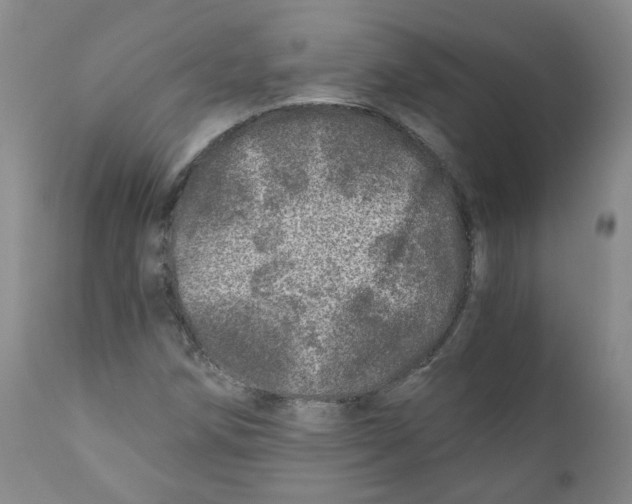 X0000110871258200907161430