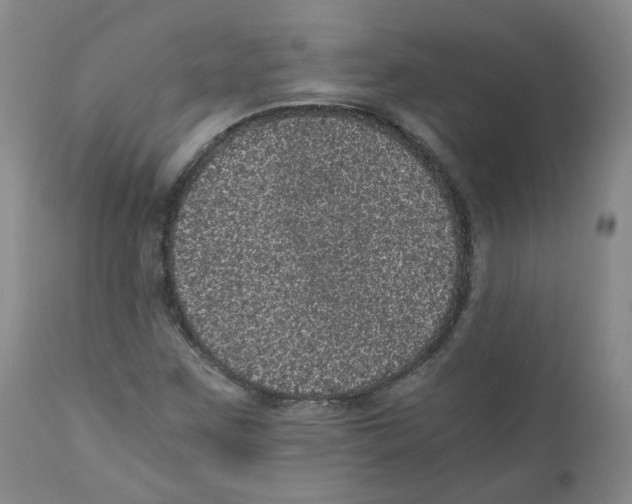 X0000110871259200907161430