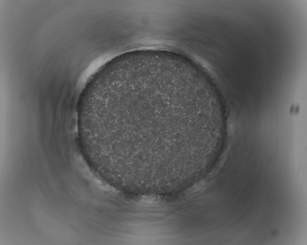 X0000110871267200907161430