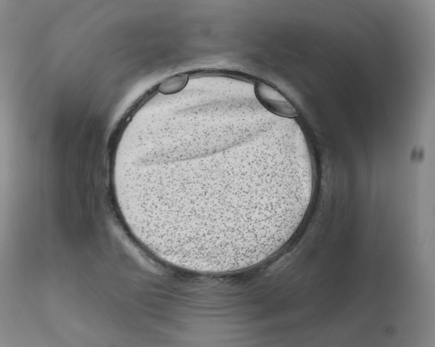 X0000110871270200907161430