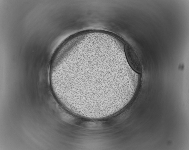 X0000110871272200907161430