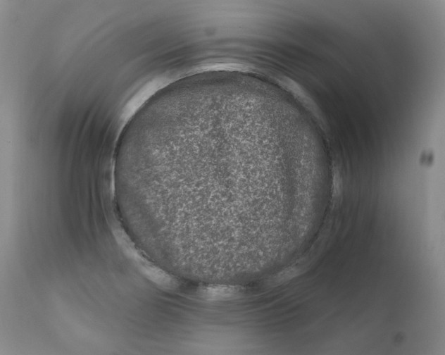 X0000110871274200907161430