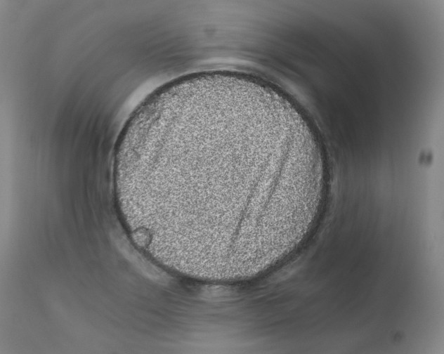 X0000110871275200907161430