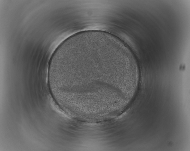 X0000110871276200907161430