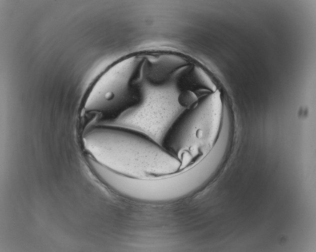 X0000110871277200907161430