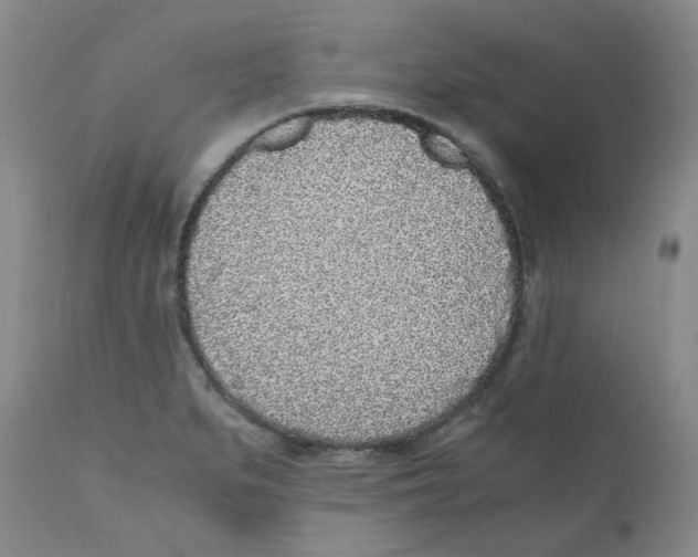 X0000110871279200907161430