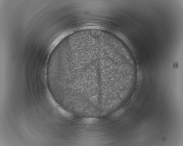 X0000110871282200907161430