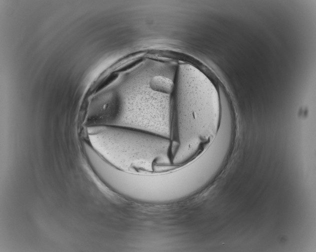 X0000110871285200907161430