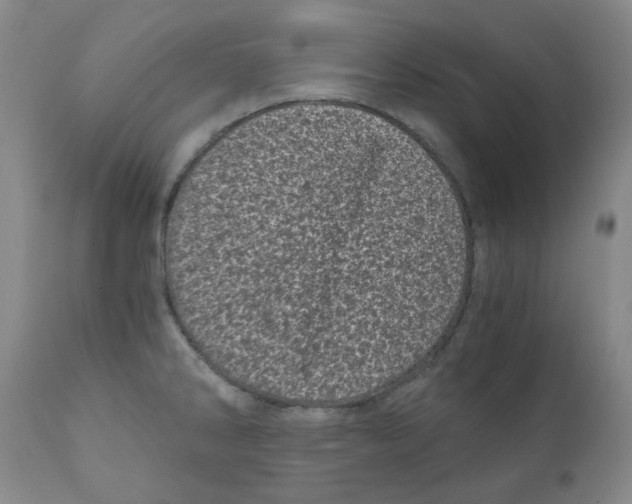 X0000110871286200907161430