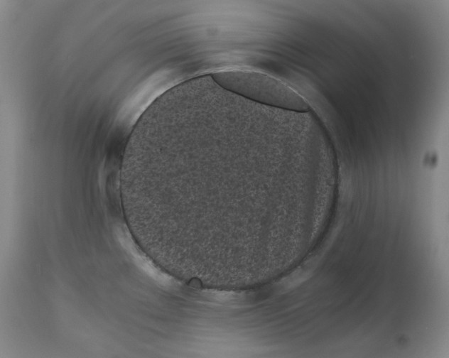 X0000110871289200907161429