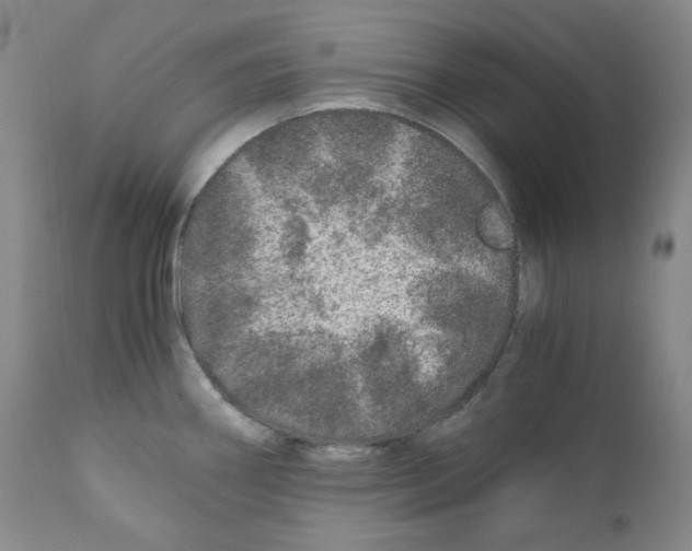 X0000110871290200907161429