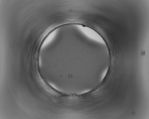 X0000110871291200907161429