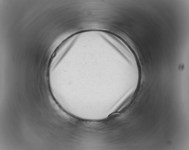 X0000110871293200907161429