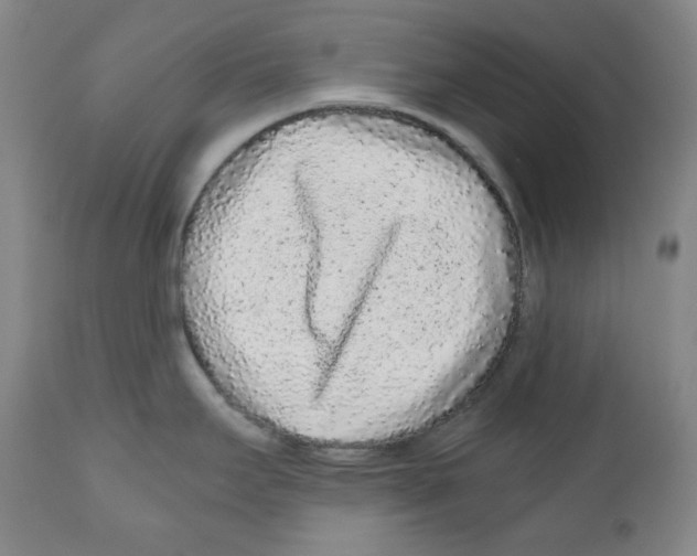 X0000110871295200907161429