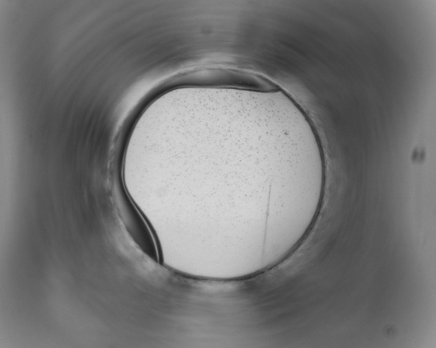 X0000110871296200907161429