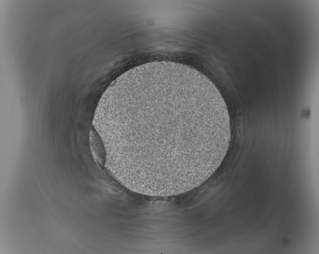 X0000110871297200907161429