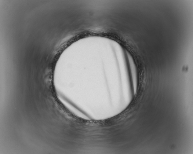 X0000110871301200907161429