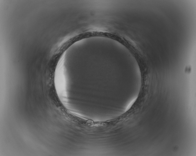 X0000110871303200907161429